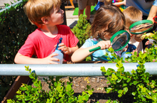 Load image into Gallery viewer, Cocoon Full Day Summer Camp: 3 yrs
