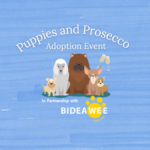 Load image into Gallery viewer, Dog Adoption Day: Puppies and Prosecco
