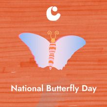 Load image into Gallery viewer, National Butterfly Day: Story Time
